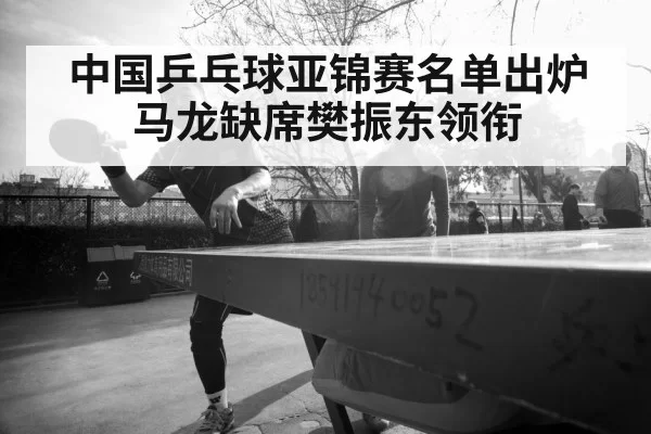Fan Zhendong table tennis